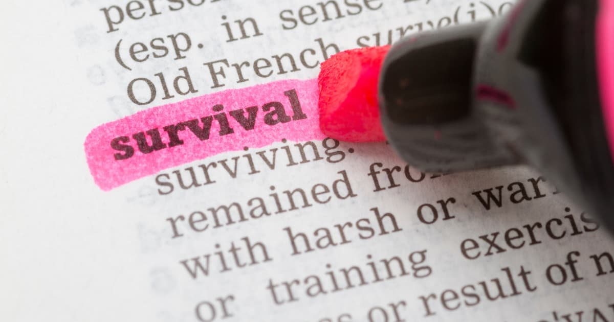 Break Free From Survival Mode, The Money Role That Changes Everything