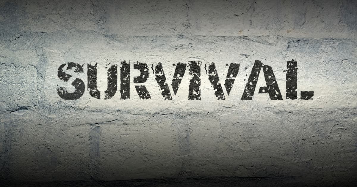 How to Rebuild Your Relationship with Money After Survival Mode