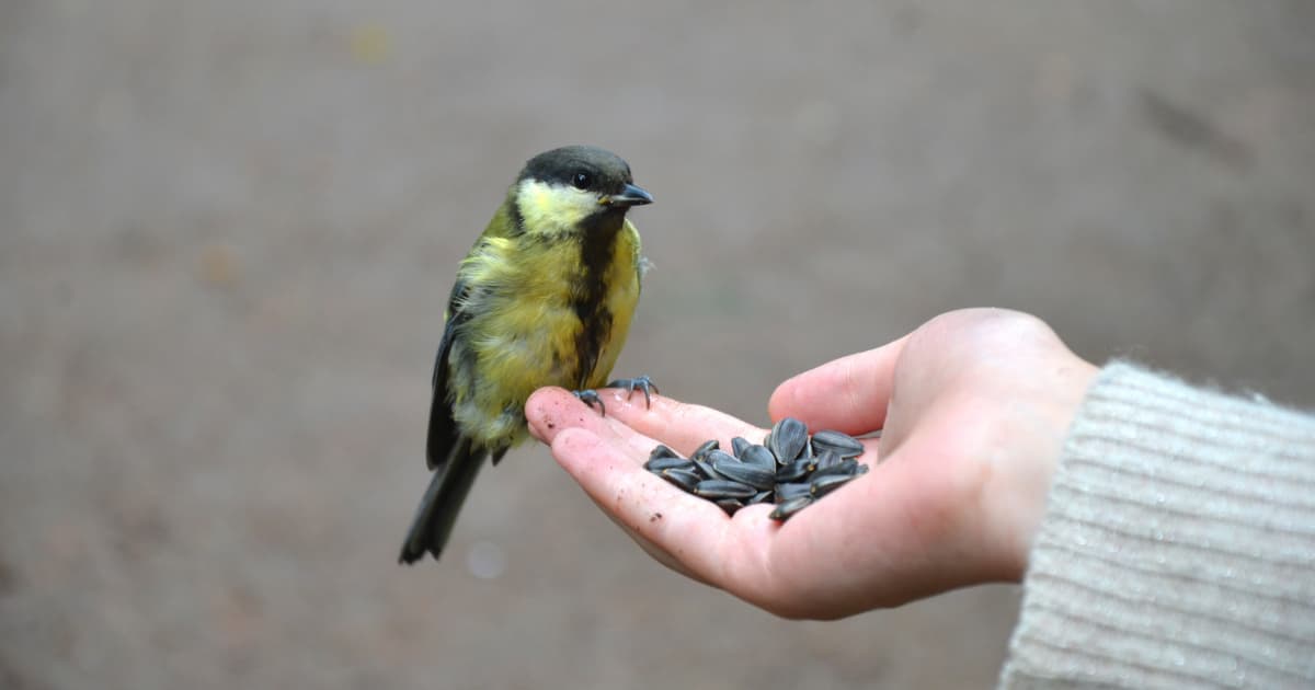 Walk by Faith: Taking Action Without Being Attached to the Outcome